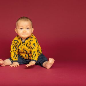 Sweatshirt Etu mit Pinguinen