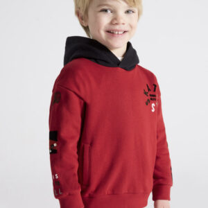 Kapuzen Sweatshirt Skater